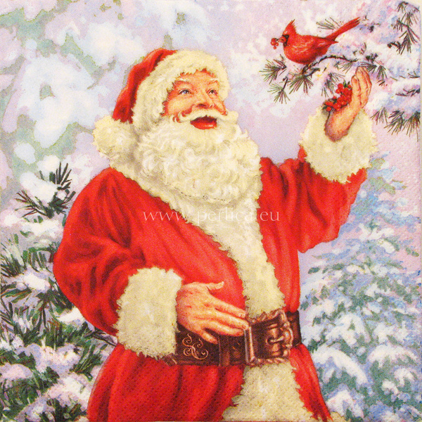 Salveta Happy santa Claus with Bird BZ22