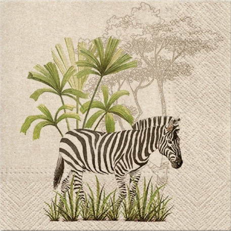 Salveta Zebra J14