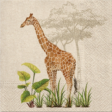 Salveta Giraffe   J14