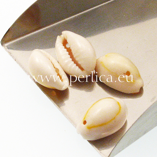 Školjke Cowrie12 mm 4 kom, s rupom