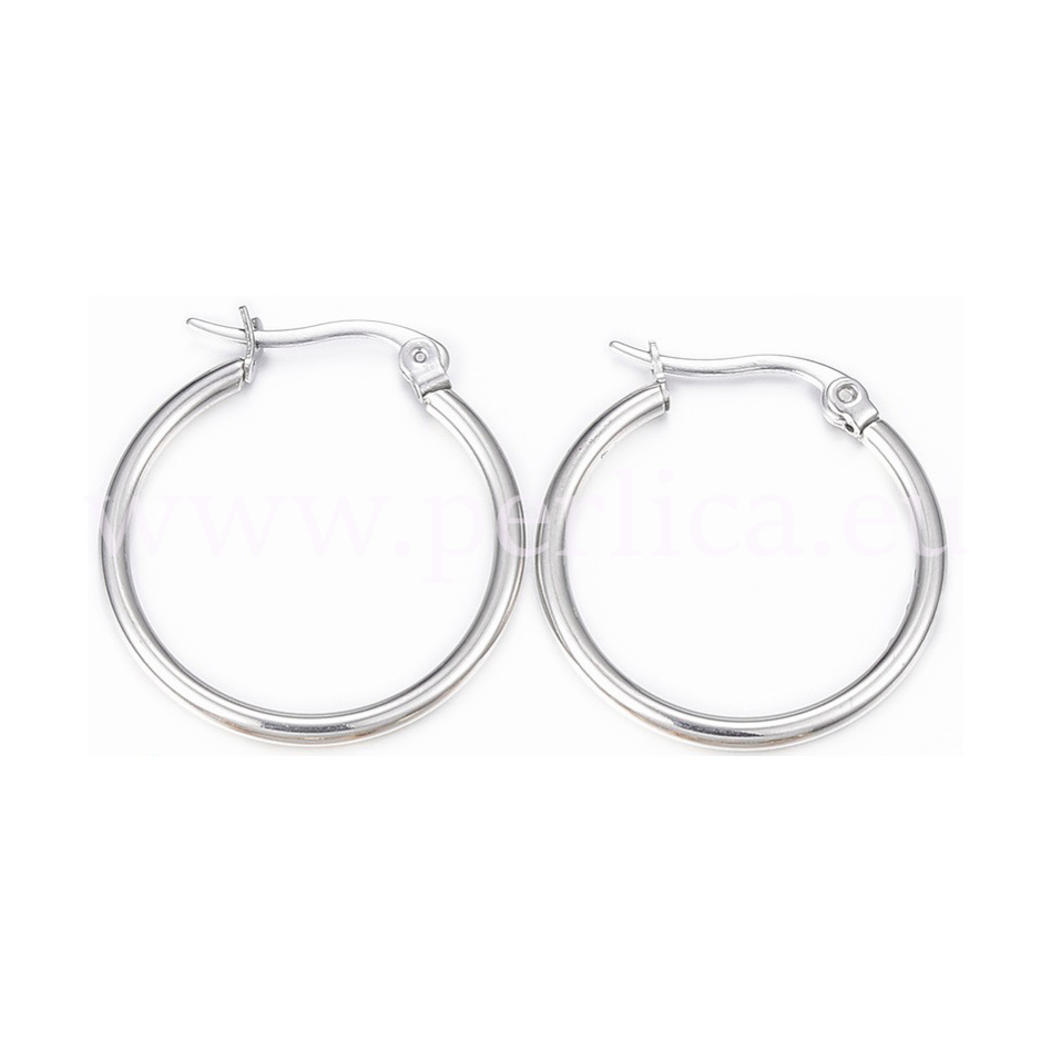 Naušnice inox SS30419x2 mm, 1 par, SS51