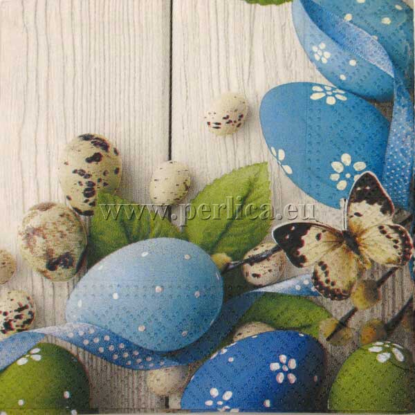 Salveta Egss and eggs SU20